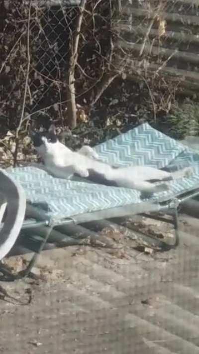 We make a point of seeing what he's up to every morning.