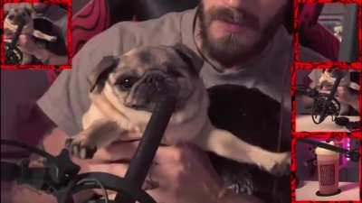 yep. she just smiled AND winked