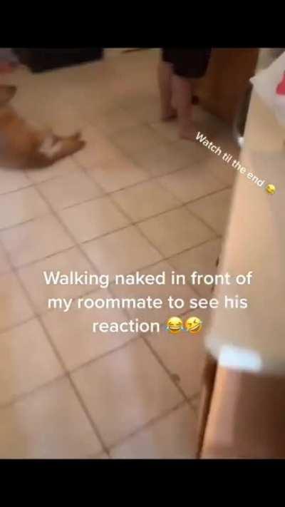 Walking naked to get roomies reaction