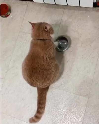 Chang Chang All Night Mothaf****