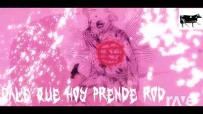 Lo que vas a ver a continuacion es una bocha 💀👽