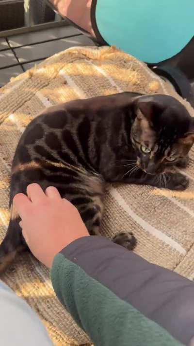 Merlin demands supplies on the balcony