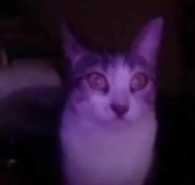 Creepypasta de minecraft😱😭