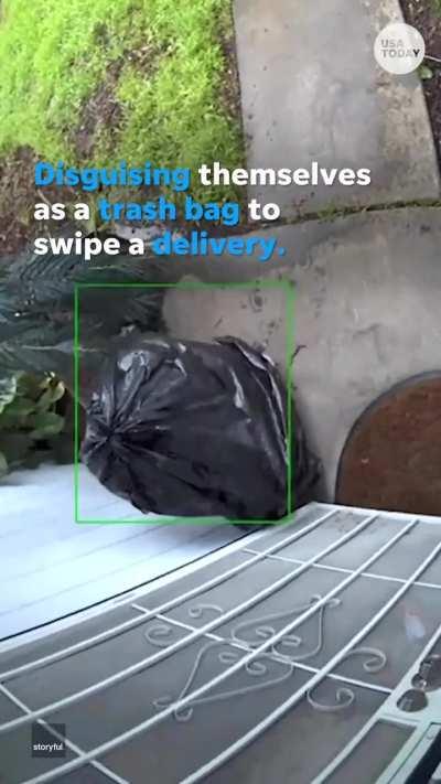 A thief was caught wearing a trash bag to steal package from door step in California 