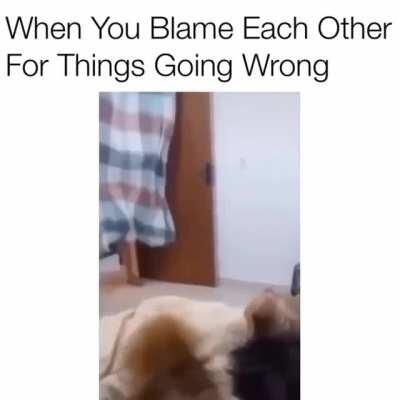 Now you see me, now you don't.