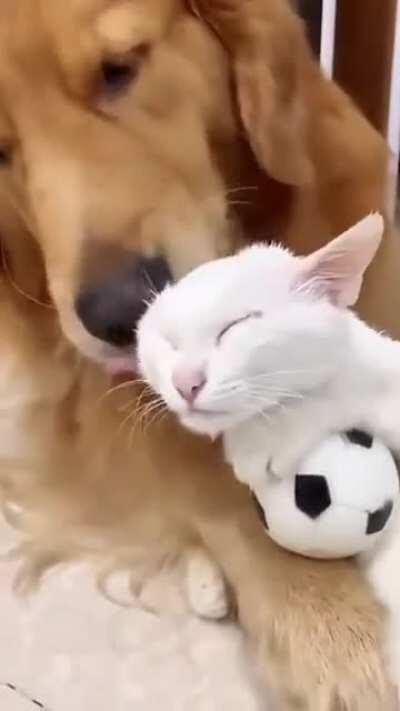 They both are having a great time together