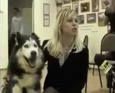 Speak.exe has encountered a problem and needs to close