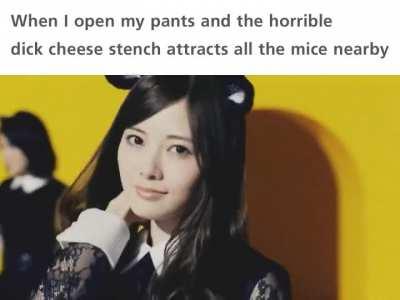 Something smells very cheesy 🧀