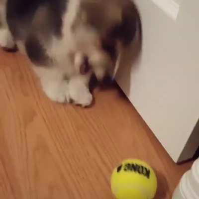 His first Tennis ball