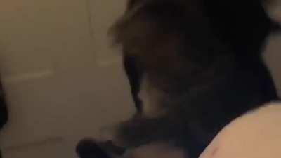 A brother’s betrayal