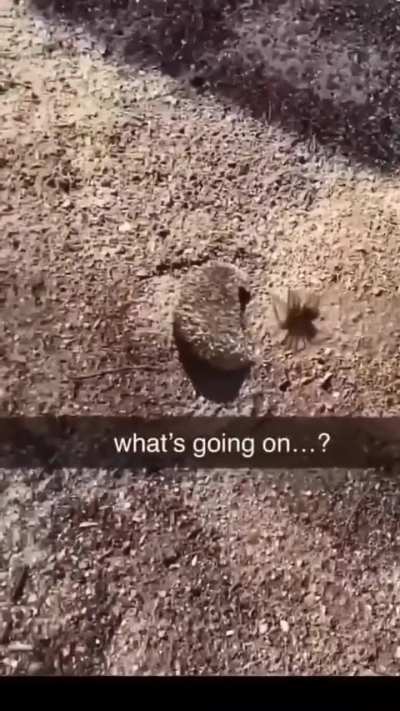 jsjjejeahkHveiaAjg🤣🔥👨‍🚀