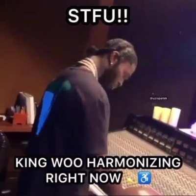 can someone please tell me what song this is? it's gotta be some of my favorite music from him but i've not been able to figure out what it's called so this video is what i've been stuck with.