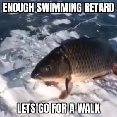 He will have evolved into Megafauna by the end of next week