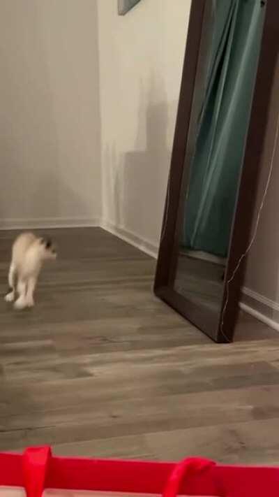 I must attack this strange creature