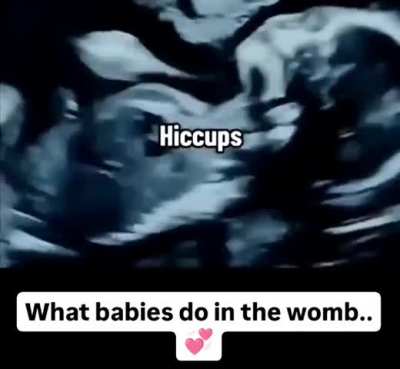 What babies do in the womb.