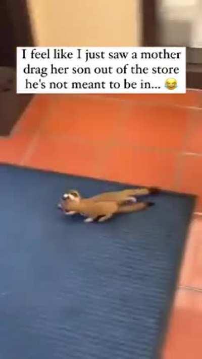 “You are NOT supposed to be in here 😠😂