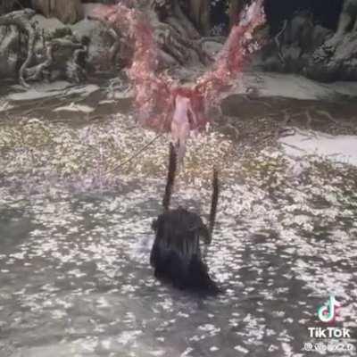 Found this absolutely beautiful clip.