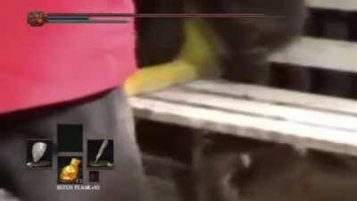 Royal Raccoon Vanguard