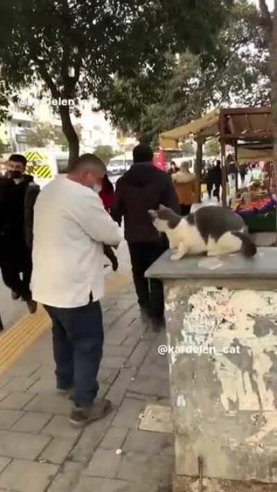 My side of the sidewalk!!