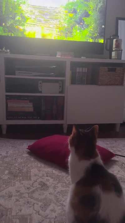 We finished it together from start to finish