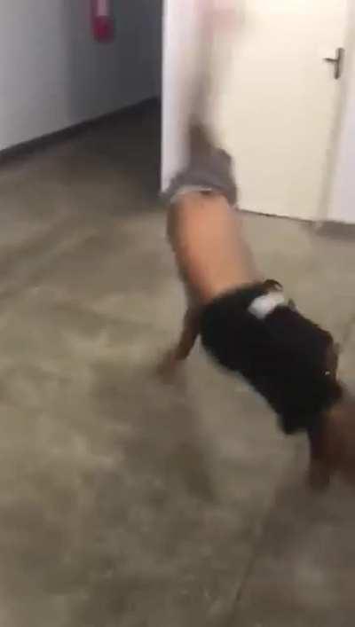 conteudo para a live do woods