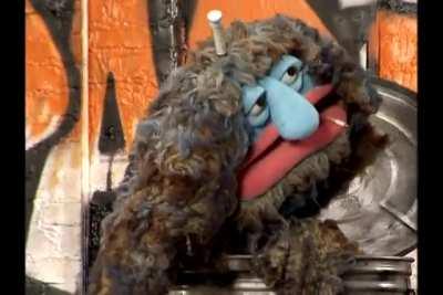 Stinky knows whats up