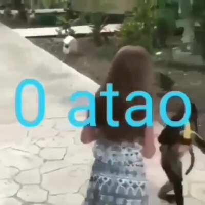 0 atao😎