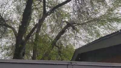 I didn't want to get off my car, it sounded so peaceful.