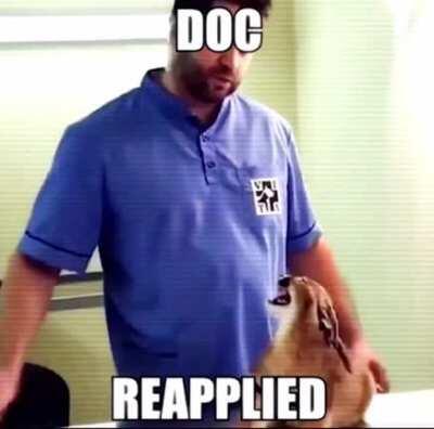 Repost because I’m a law abiding Redditor