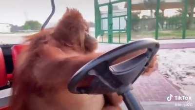 On the way to my local bullion dealer with a fat stack of fiat.