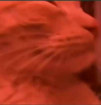 Vibing while I get shafted tomorrow