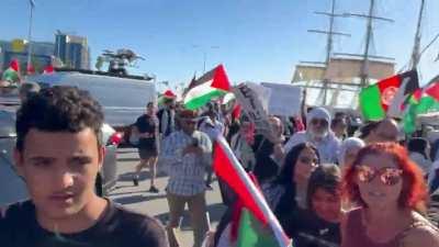 Palestine supporters try to block the camera as they ASSAULT a pro-Israel woman by ripping her flag from her and stomping on it. This happened in San Diego, CA
