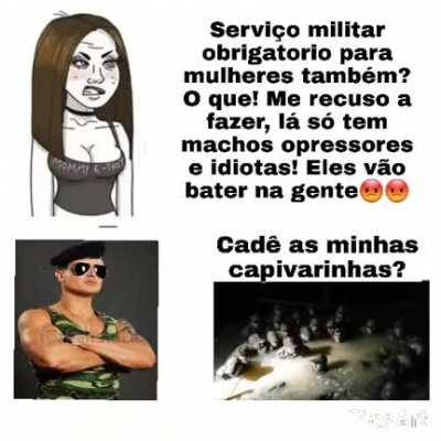 Cadê as minhas capivarinhas?