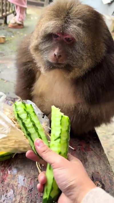 So many things were said without a single word