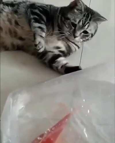 Hmm, that's a nice fish