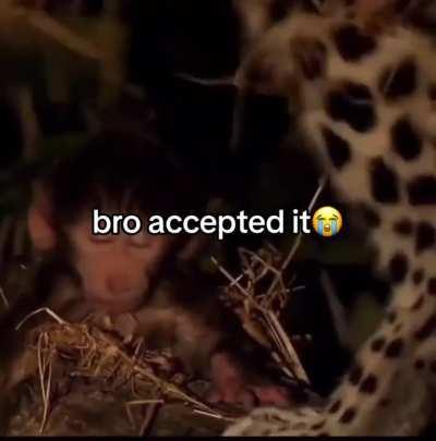 “There’s not much left for me now…”