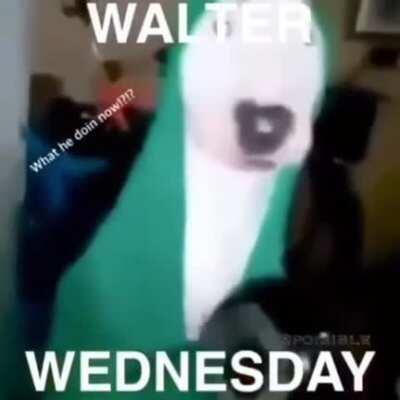 Happy Walter Wednesday!
