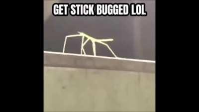 My first animated card! Feedback welcome.