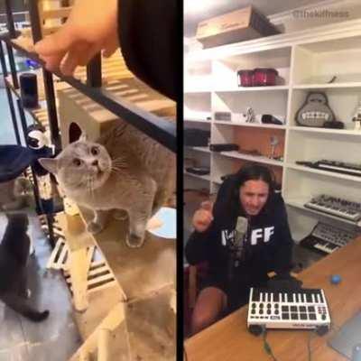 u/thekiffdave’s seriously amazing remix of the Alugalug cat