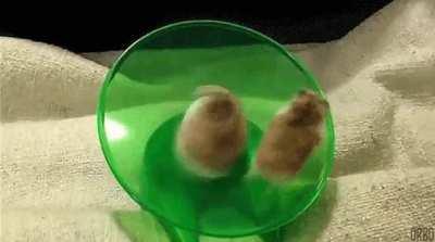 Less than 24 hours until r/pan opens for broadcasting!