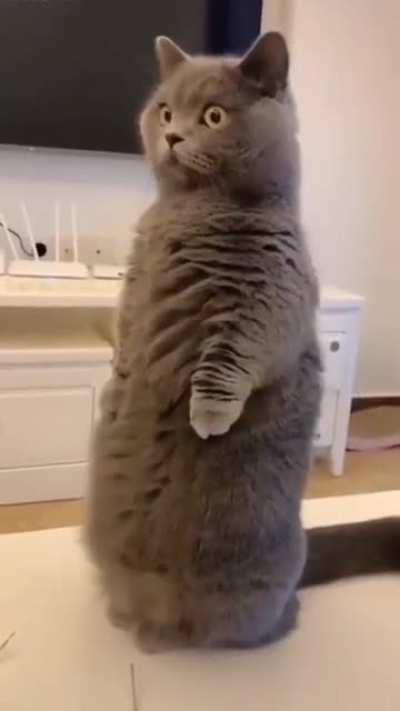 Can you believe this shit?