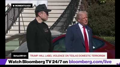 Trump says he will label violence on Tesla dealerships as domestic terrorism