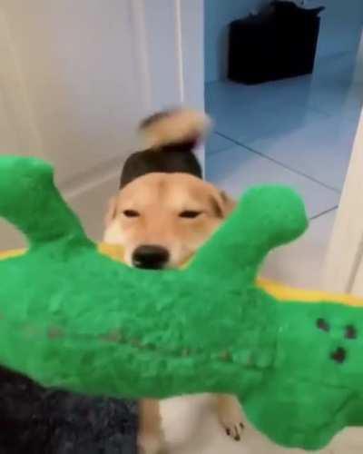 Wiggle Wiggle Wiggle