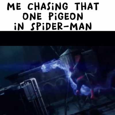 The pigeon caused trouble.