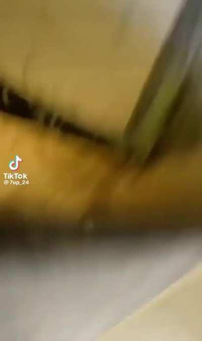 Just casually releases the chaos into the room