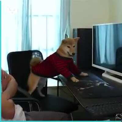 who says human mains are the only builds capable of playing video games?