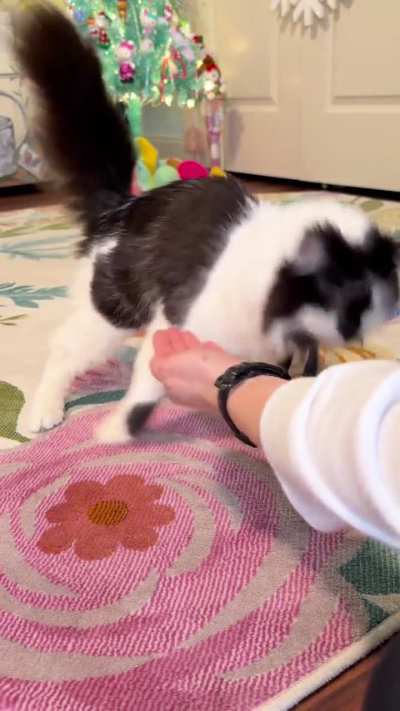 Advent calendar 2, day 20 💚❤️