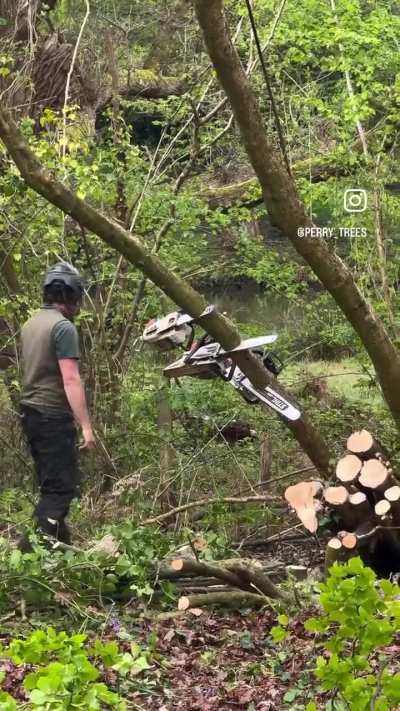 Turns out chainsawing is a skill... who knew?