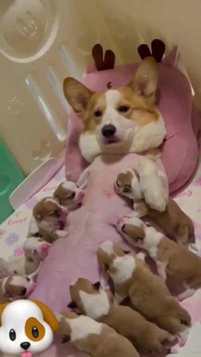 I didn't listen to my mother, so I got into this mess