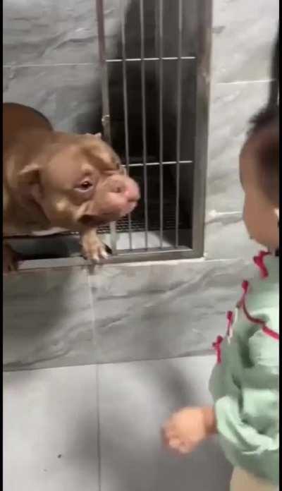 The dog named: world eater,the demon nightmare king (it bites)